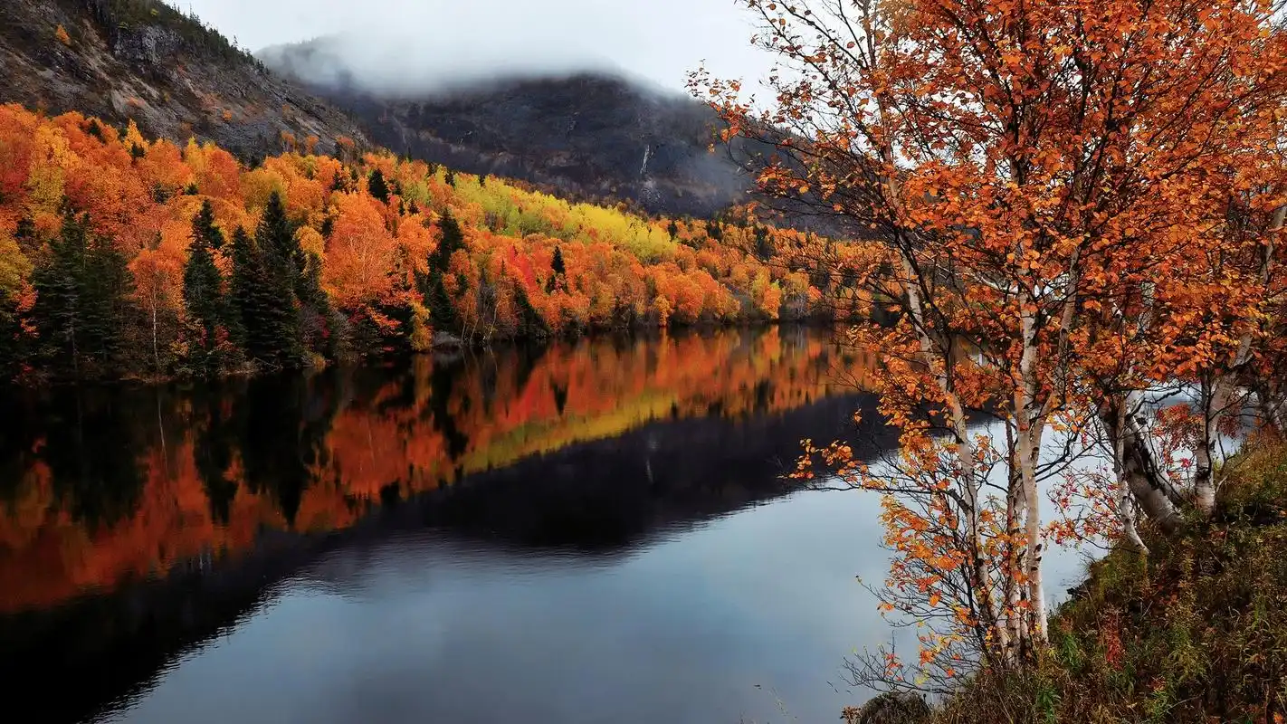 唯美的秋色美景自然风光高清电脑桌面主题壁纸图片(十一)_风景壁纸