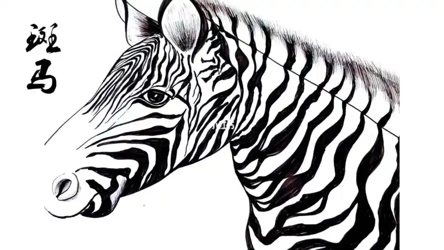 动物单元#创意美术  #儿童创意美术  #线描  #黑白装饰画