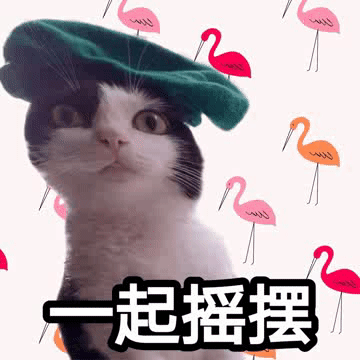 文字表情包喵星人萌宠可爱鬼畜gif动图_动态图_表情包下载_soogif