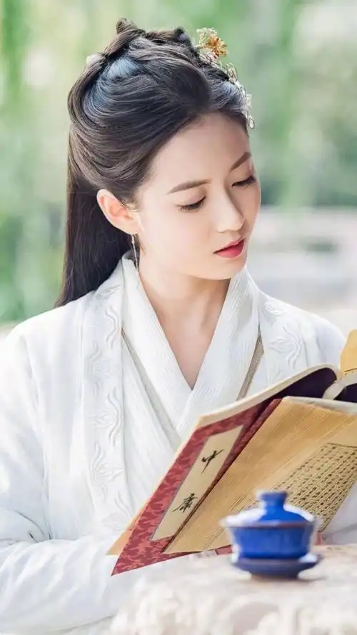 倚天屠龙记 赵敏 陈钰琪