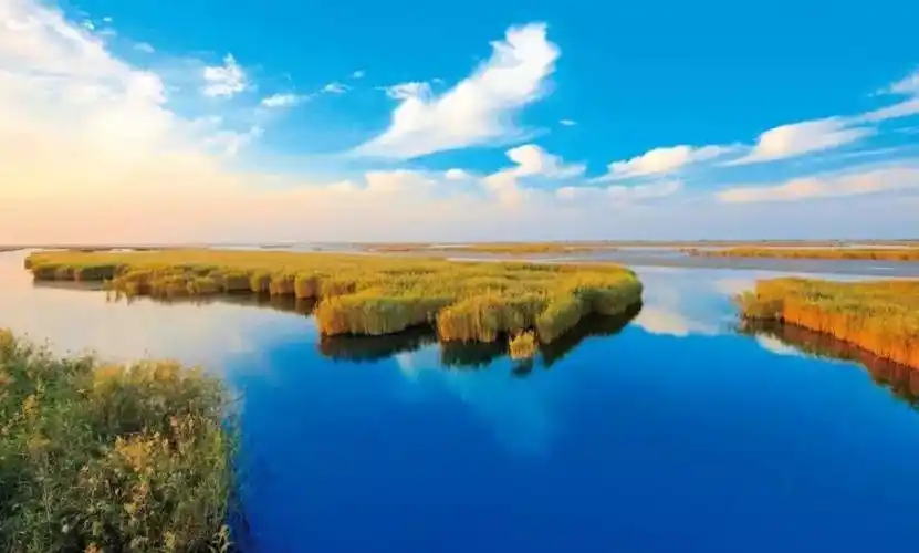 东营黄河口生态旅游区教师节优惠活动