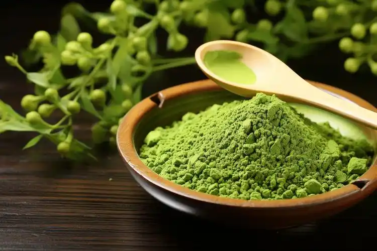 抹茶是绿茶中的高端产品,高档抹茶更追求的是"绿色"纯粹,色泽越绿价值