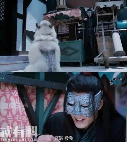 陈情令魏无羡为什么怕狗这跟他的身世有关