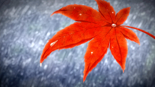 500_281gif 动态图 动图