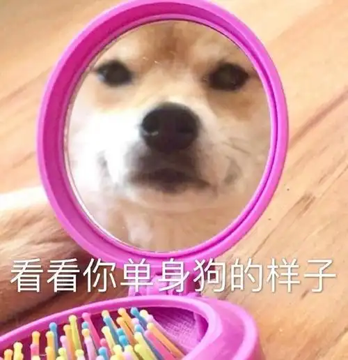 看看你单身狗的样子单身狗样子看看表情