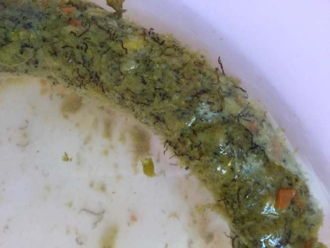 求助宝妈们,今天宝宝大便突然发现里面有黑丝丝的东西,是虫子么?