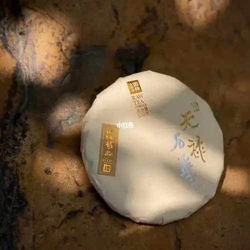 古有皇家藏书,今有雨林藏茶-天禄石渠#投资#普洱茶#升值#高端茶叶