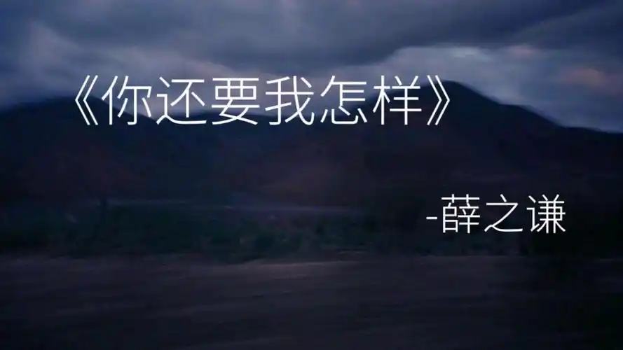 你还要我怎样薛之谦