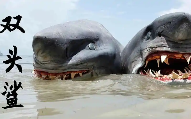 美女游艇开派对双头鲨鱼悄然逼近场面一度失控