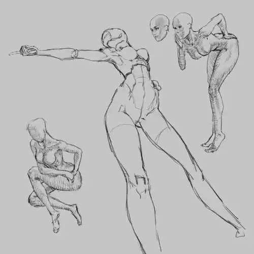 一百天人相人体速写