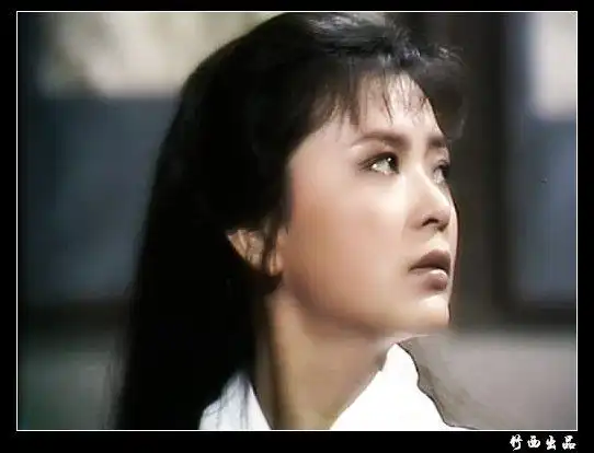 1982年tvb《天龙八部》陈玉莲版王语嫣剧照