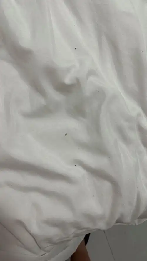 由于我们去的比较早 然后房东小哥哥开了备用间给我们住 不知道是不是