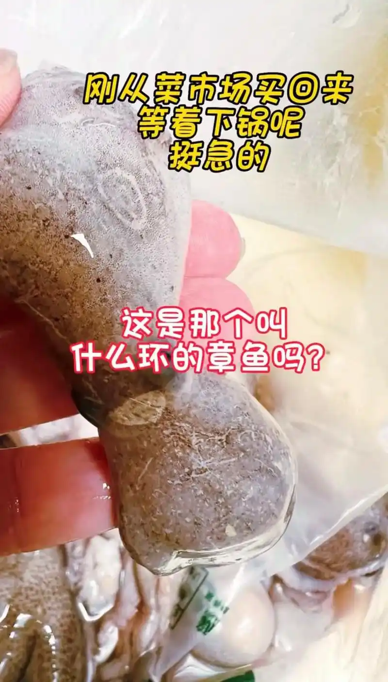 图文伙伴计划 刚从菜市场买回来的,到底能吃不?#蓝环章鱼  - 抖音