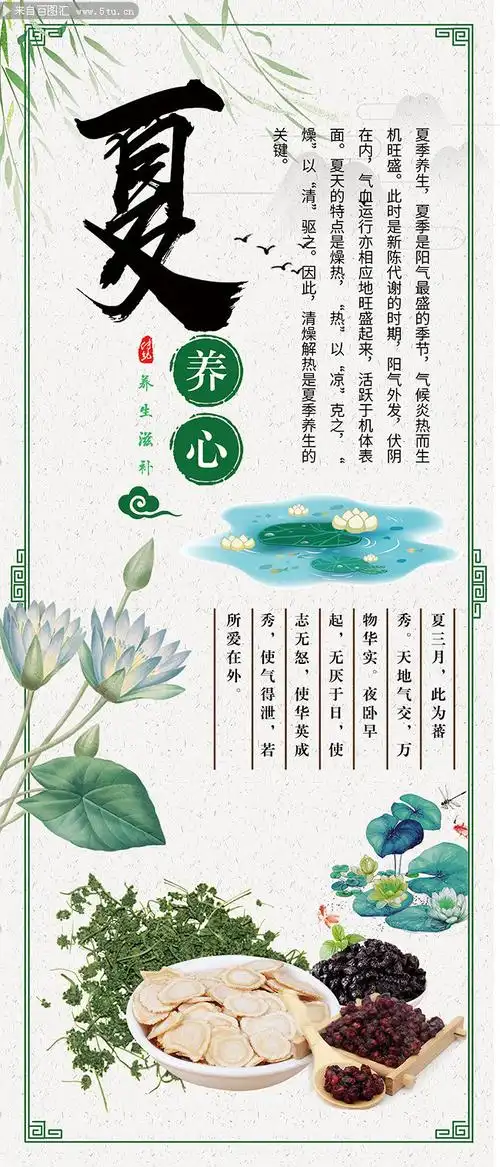 中国风夏季养心海报