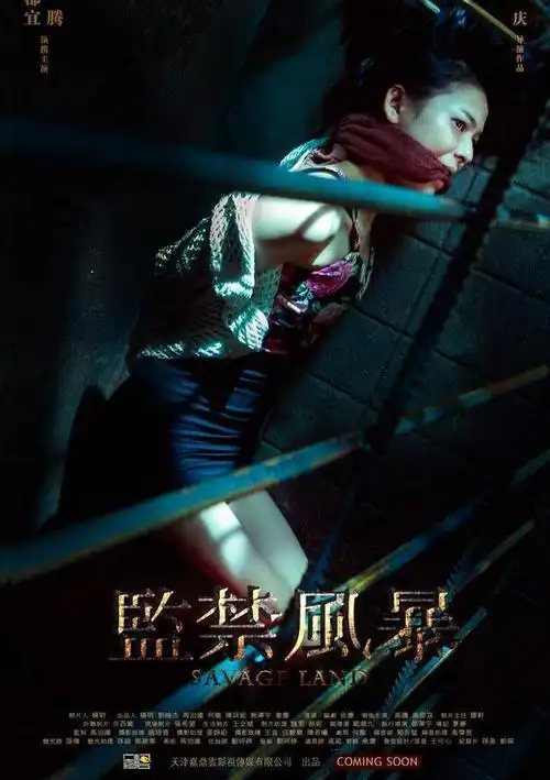 四名女子遭遇绑架沦为赚钱工具这国产电影真敢拍