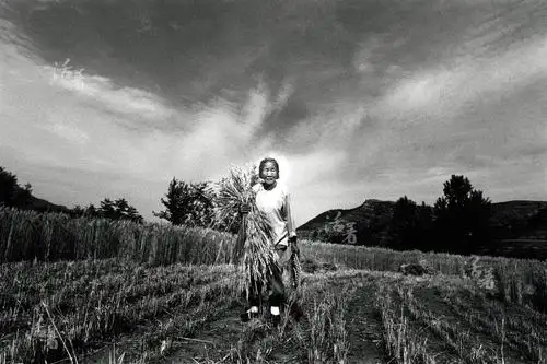 中国农民60年代生活纪实多想再给你们照相啊俺爹俺娘