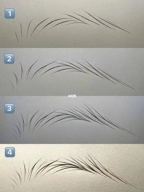 野生眉纸上练习步骤分解
