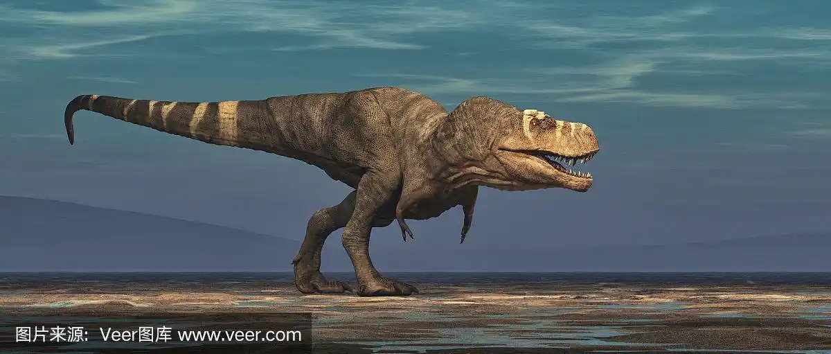 白色背景上的雷克斯暴龙