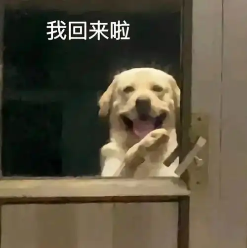 表情包我回来了你把门锁了ok我自己开门