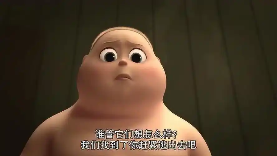 宝贝老板金宝居然融入了猫咪的生活