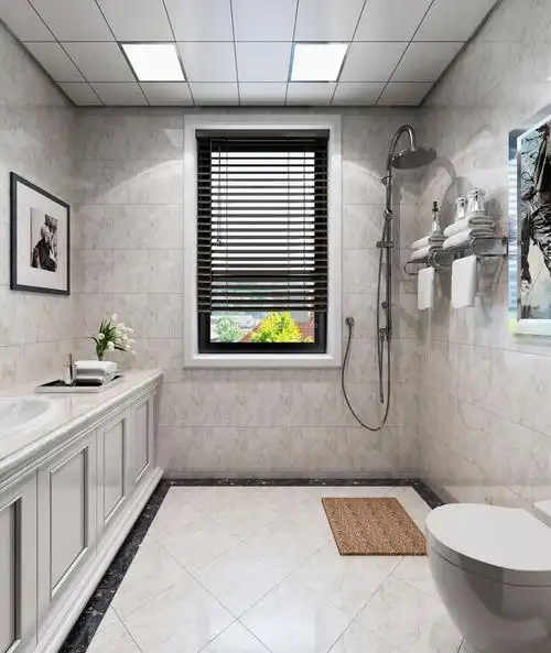 2017欧式小居室卫生间铝板吊顶装修效果图片