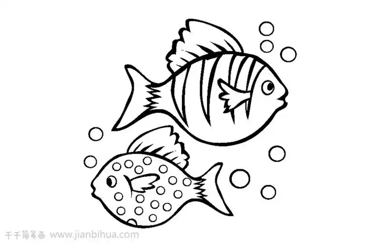热带鱼简笔画 简单画-爱娃简笔画