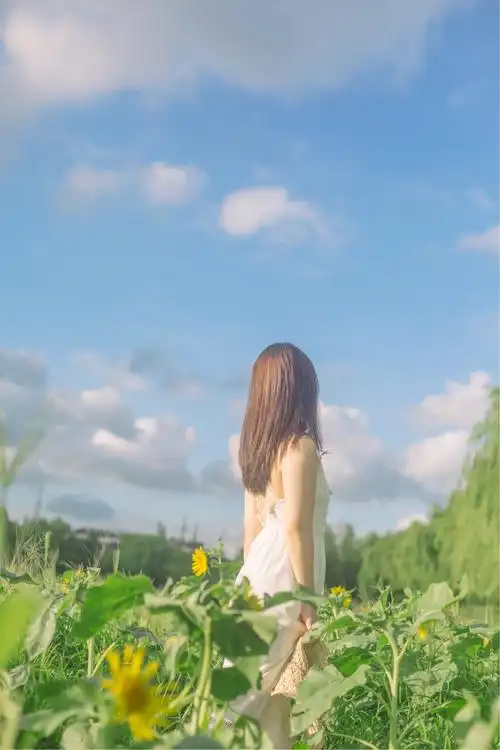 向日葵地里的少女