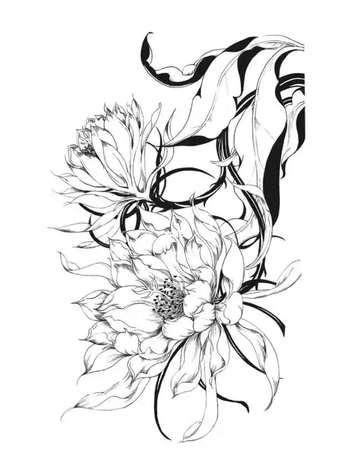 线语集昙花,绘画步骤