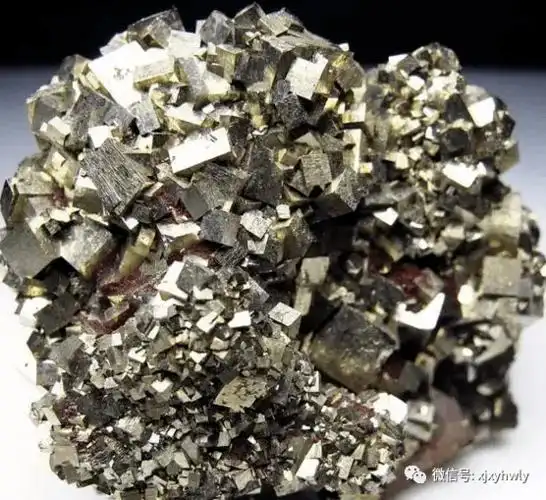 这些石头打死都不能捡白送也不要毒性能要人命