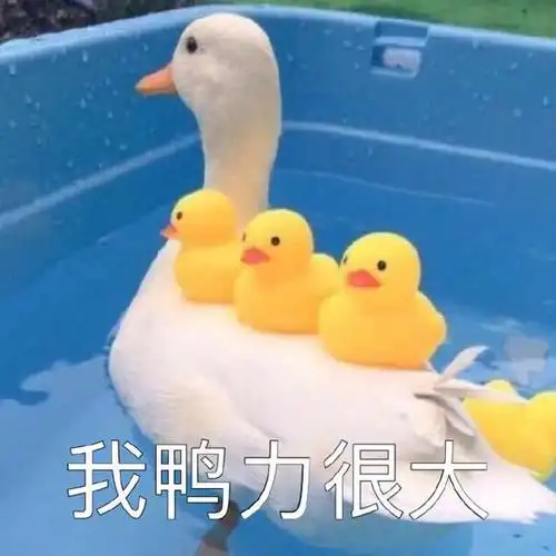 我(鸭力)压力很大表情