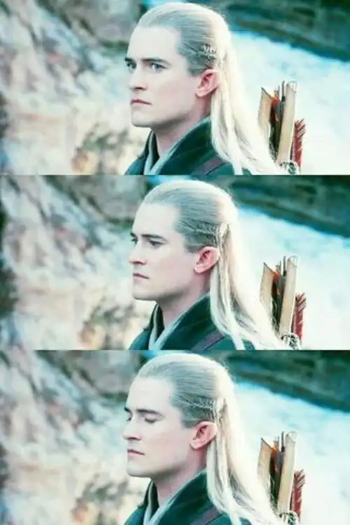 you know how a cat will hop up on a table