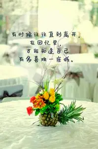 唯美人生感悟文字图片