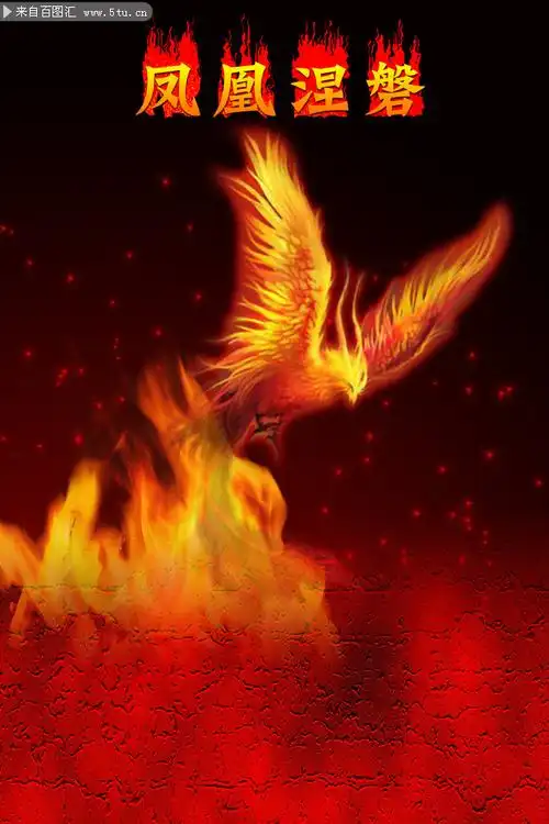 凤凰涅盘