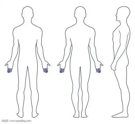 手绘 线稿人体轮廓正面简笔画幼儿狐狸简笔画的画法人体身体简笔画