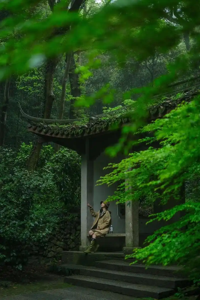 你不知道雨天的云栖竹径有多美