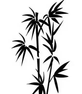 竹子植物简笔画步骤图片大全竹子的画简笔画竹子简笔画就分享到这里