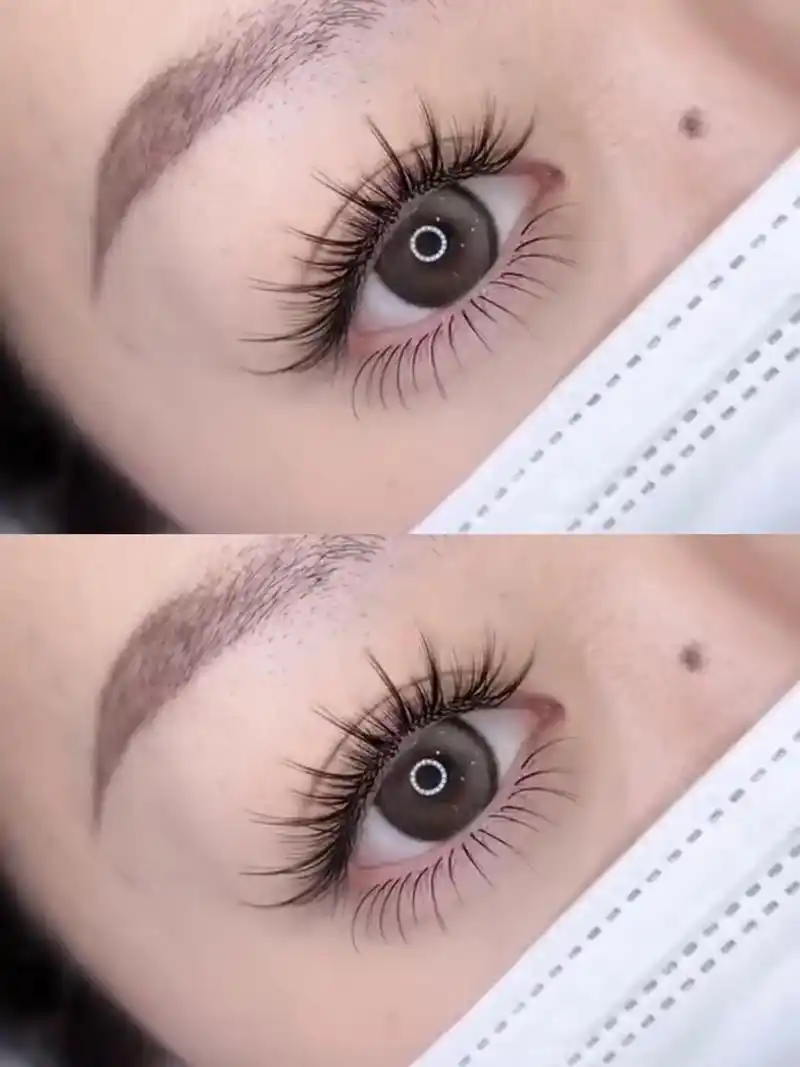 睫毛嫁接款式效果图 #人气美甲美睫店铺推荐 #同城种睫毛门 - 抖音