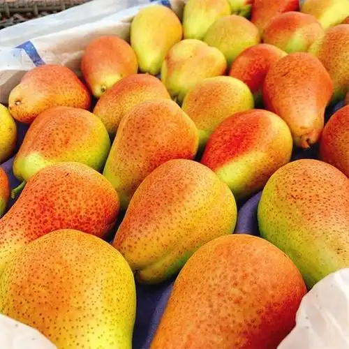 【智利进口彩啤梨】6个/12个/30个,软硬都好吃