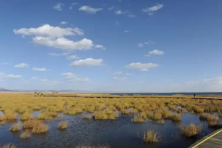 2019若尔盖花湖_旅游攻略_门票_地址_游记点评,若尔盖旅游景点推荐