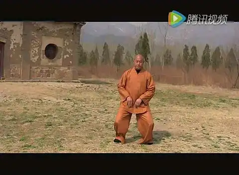 吴南方演示心意把桩功优酷[视频类型] 日常[视频标签] 心意把,少林