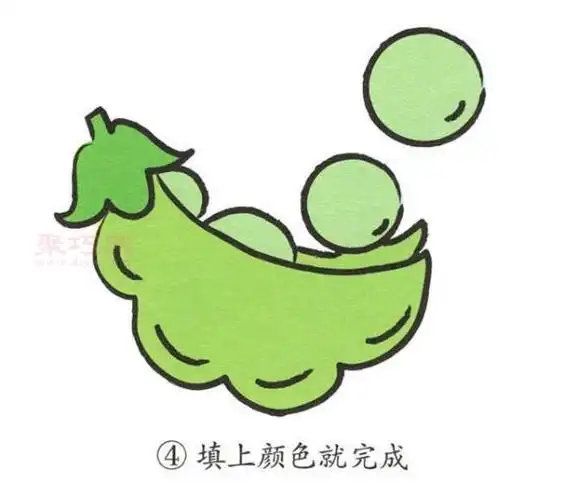 怎么画豌豆简单又漂亮一步一步教你画豌豆简笔画