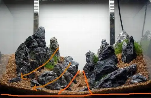 沙养迷你矮60*40*40青龙石缸65天 - 水草造景 - cta南美水族