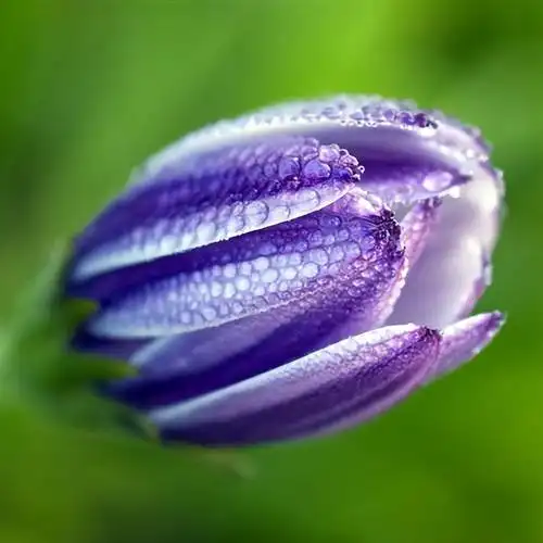 有气质有涵养中年女人的网名有哪些(适合中年女性的昵称和头像)