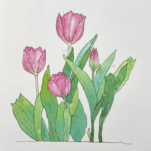 超简单水彩画附线稿