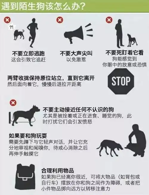 女婴路边晒太阳,烈狗突然冲出将其撕咬!春节来了,家长们