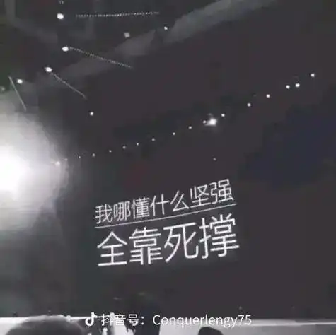 在你以为我很坚强的时候 其实我已经快撑不下去了 我已经很努力 - 抖