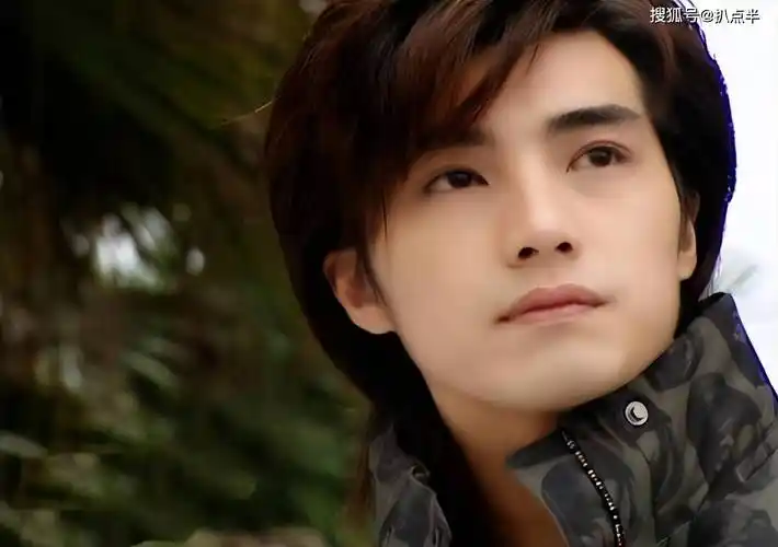 贺军翔:"好丈夫"人设翻车,过往争议不断_郑元畅_绯闻_和林