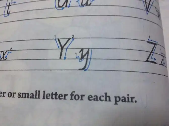 y的书写先写哪一笔?