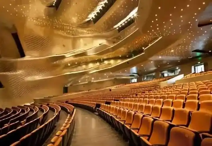 目前,"开心麻花"在北京,上海,深圳,天津,沈阳,南京,武汉,山东等都成立