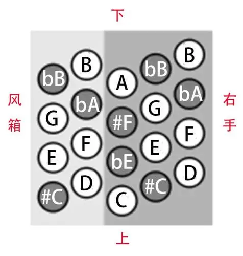 下图:roland的电子手风琴fr-1b